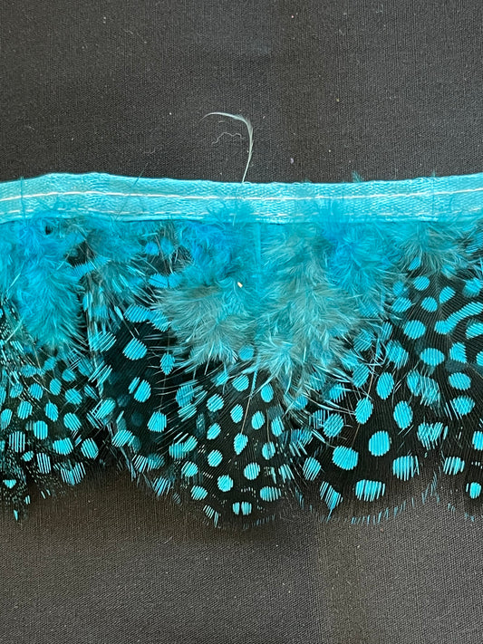 Turquoise Spotted Guinea Fowl Feathers