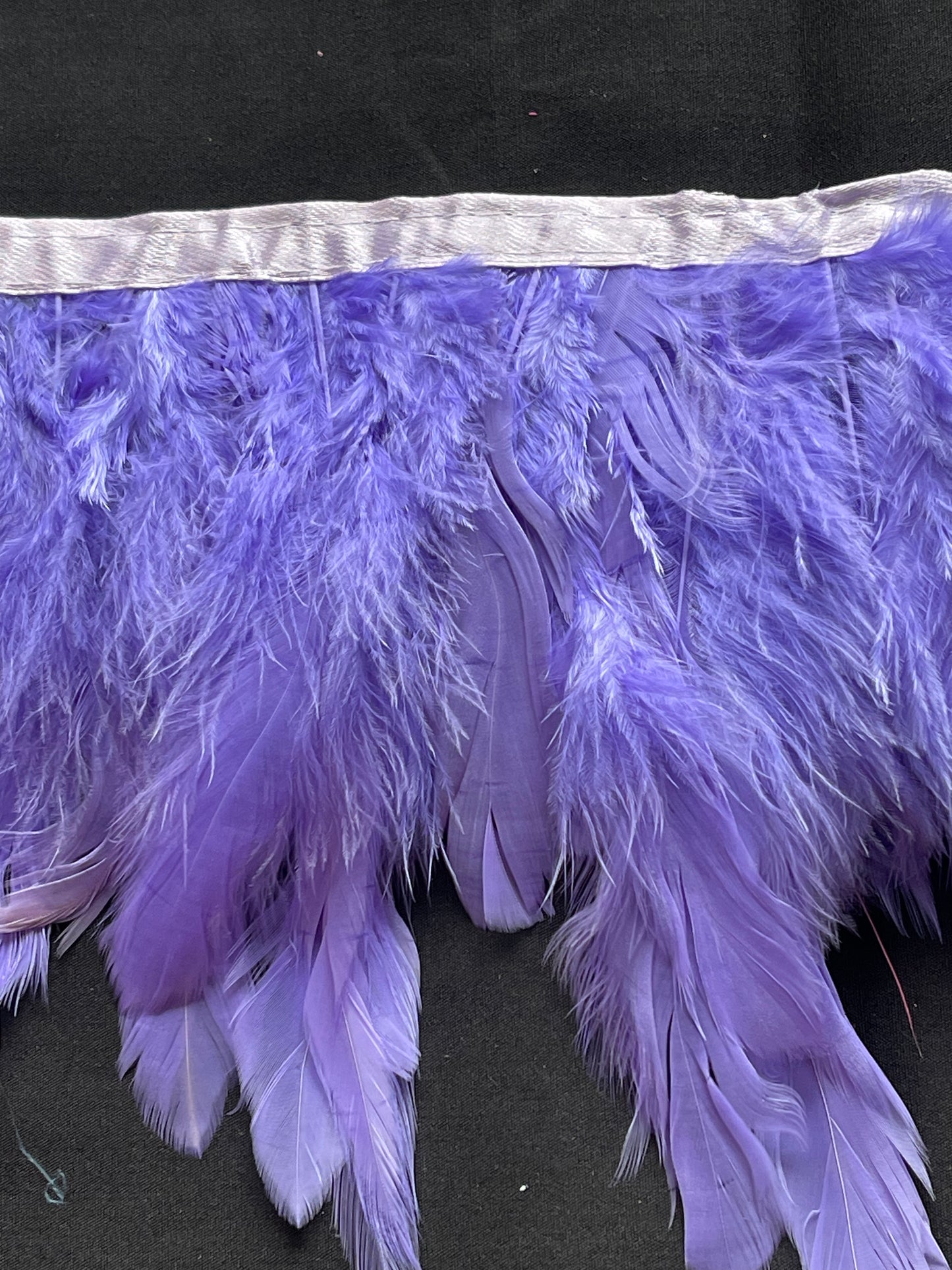 Lilac Coque Feathers