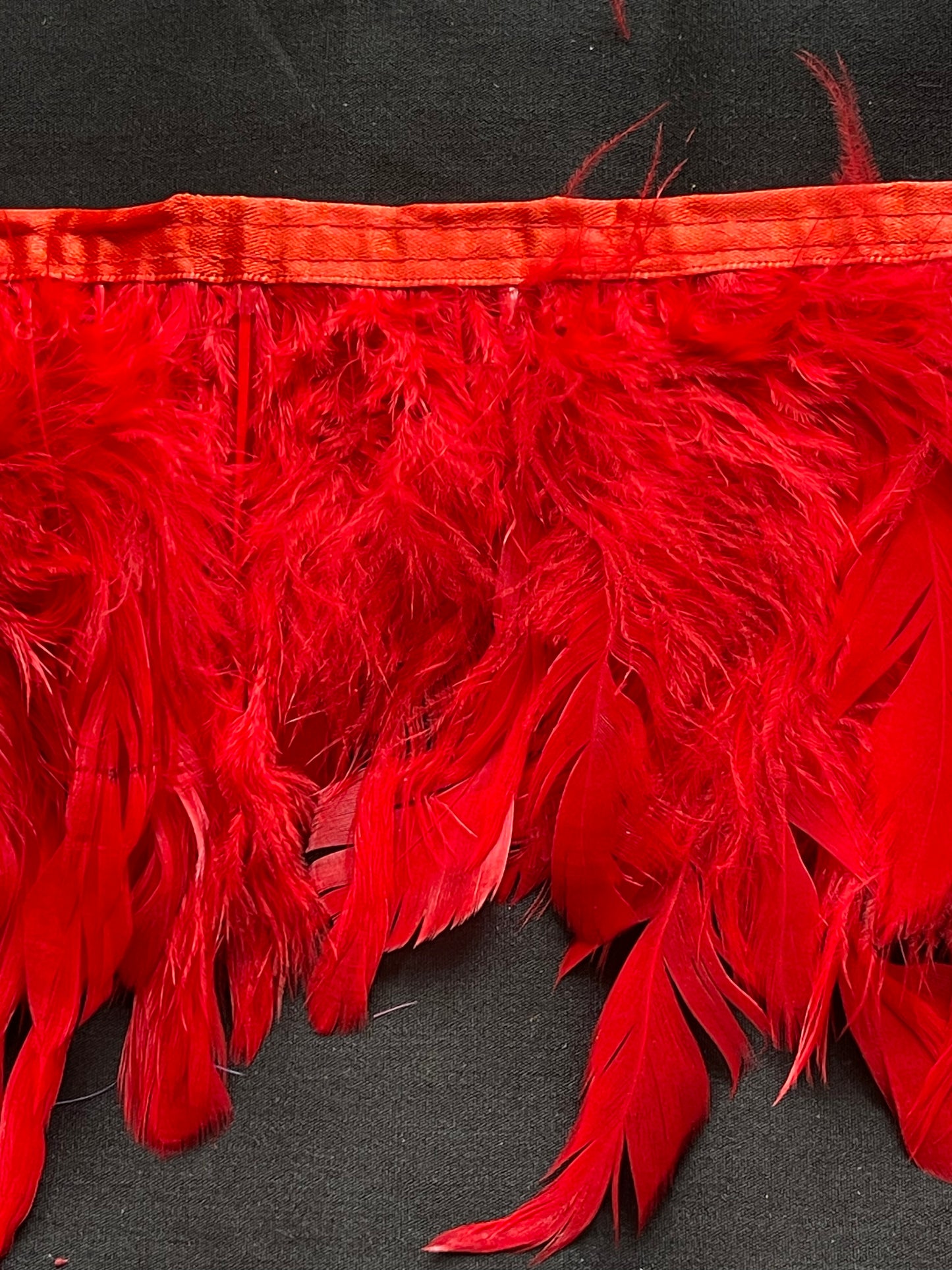 Red Cogue Feathers
