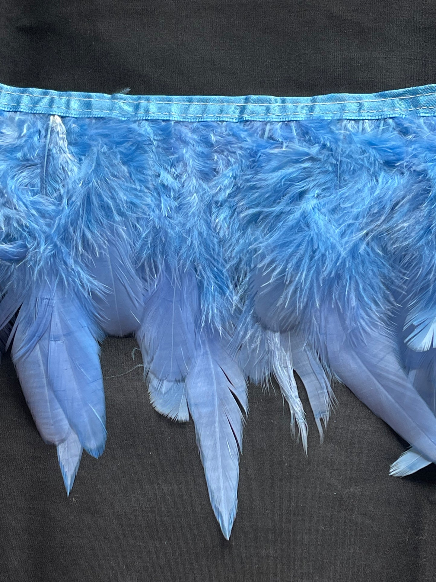 Sky Blue Coque Feathers
