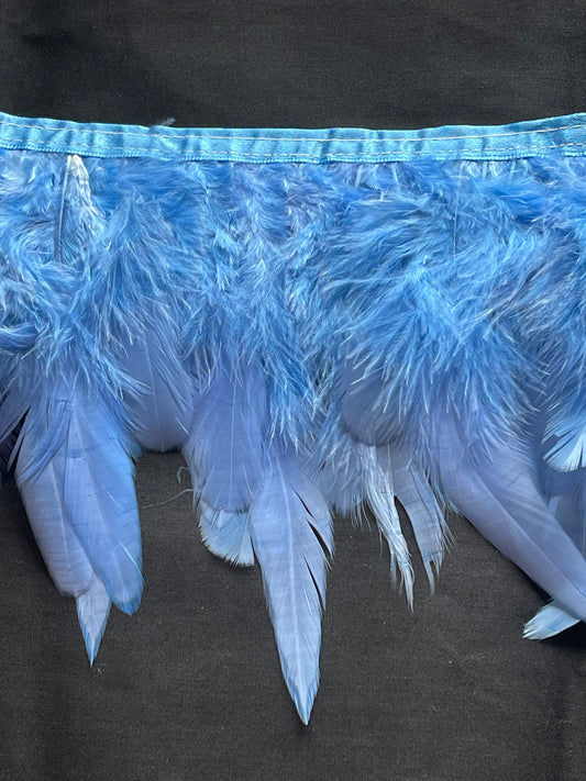 Sky Blue Coque Feathers