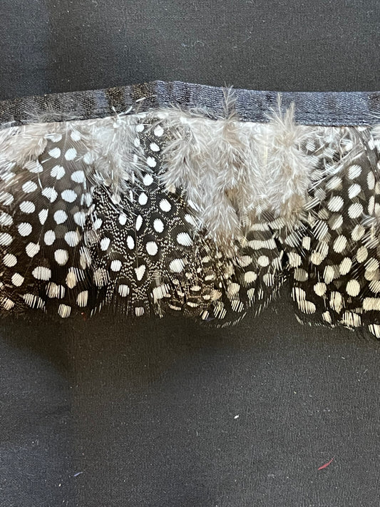 Black & White Spotted Guinea Fowl Feathers
