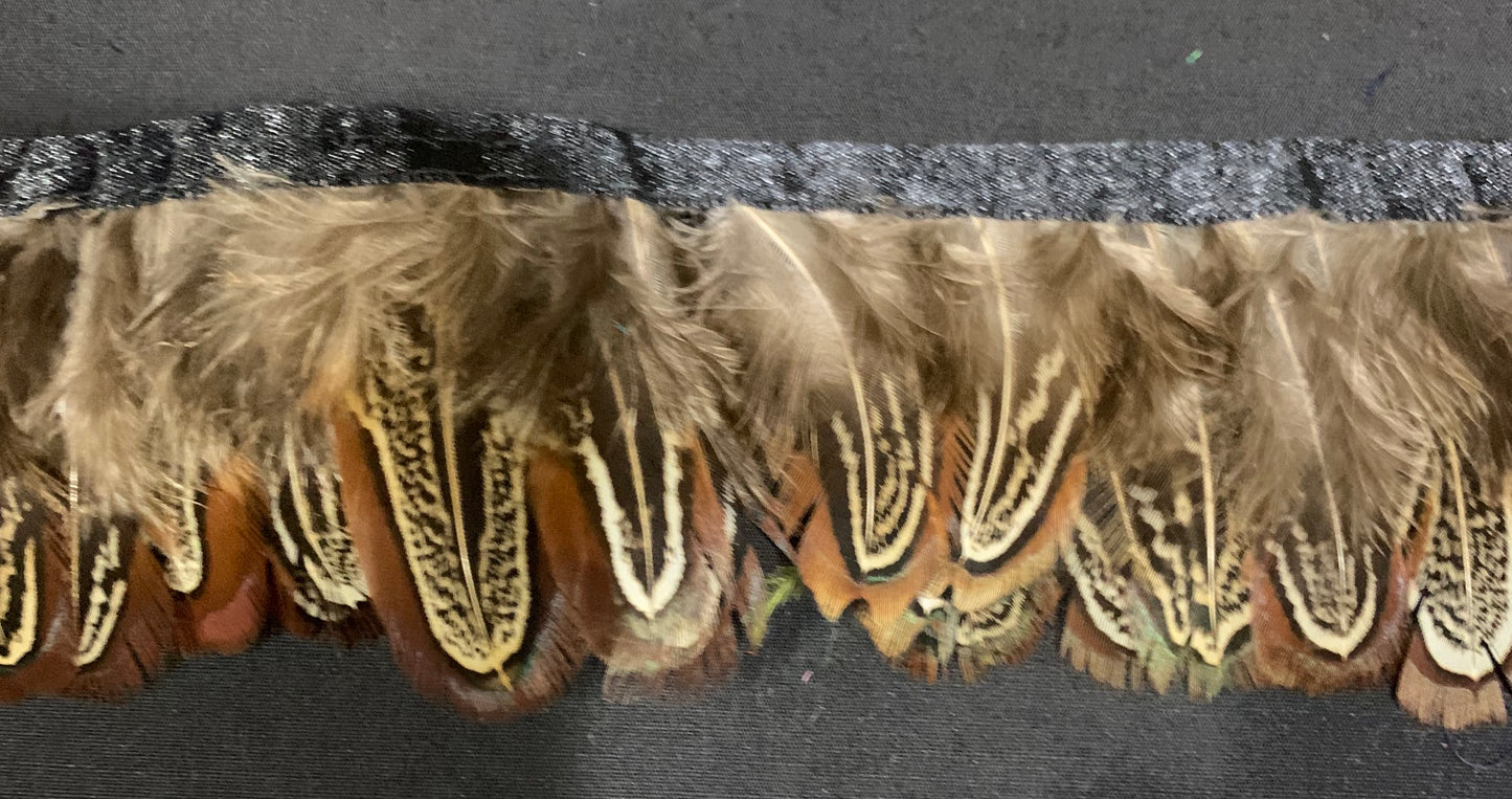 Tan & Brown Pheasant Feathers