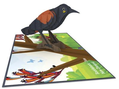 New Zealand Saddleback  3D - Pop Up Cards