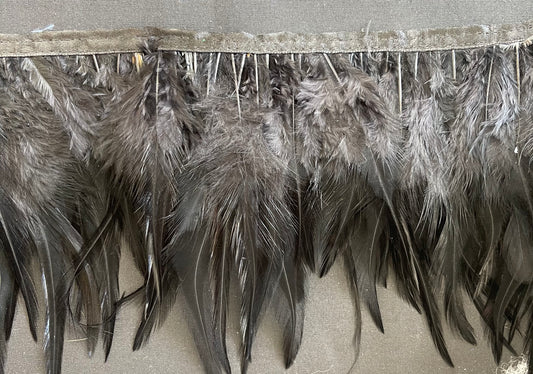 Black Hen Feathers