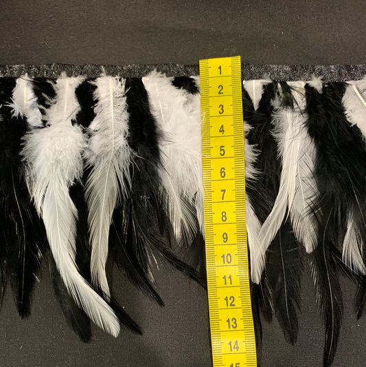 Black & White Hen Feathers