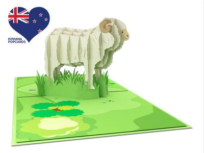 New Zealand Merino Sheep 3D - Pop Up Cards