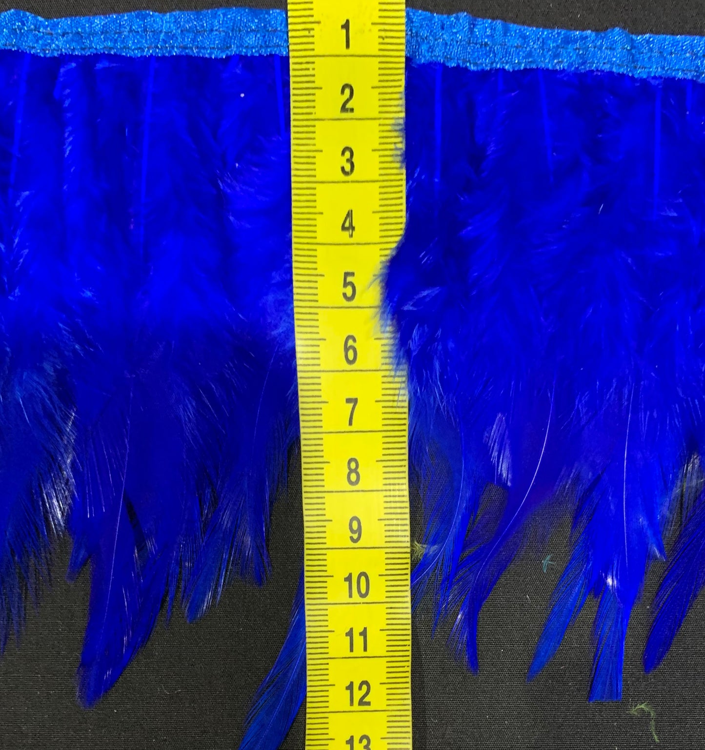 Royal Blue Hen Feathers