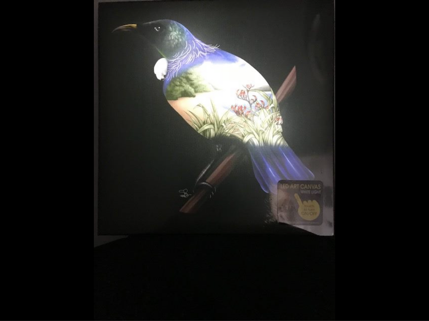 Tui LED Light Canvas