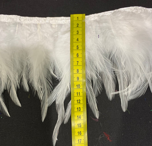 White Hen Feathers