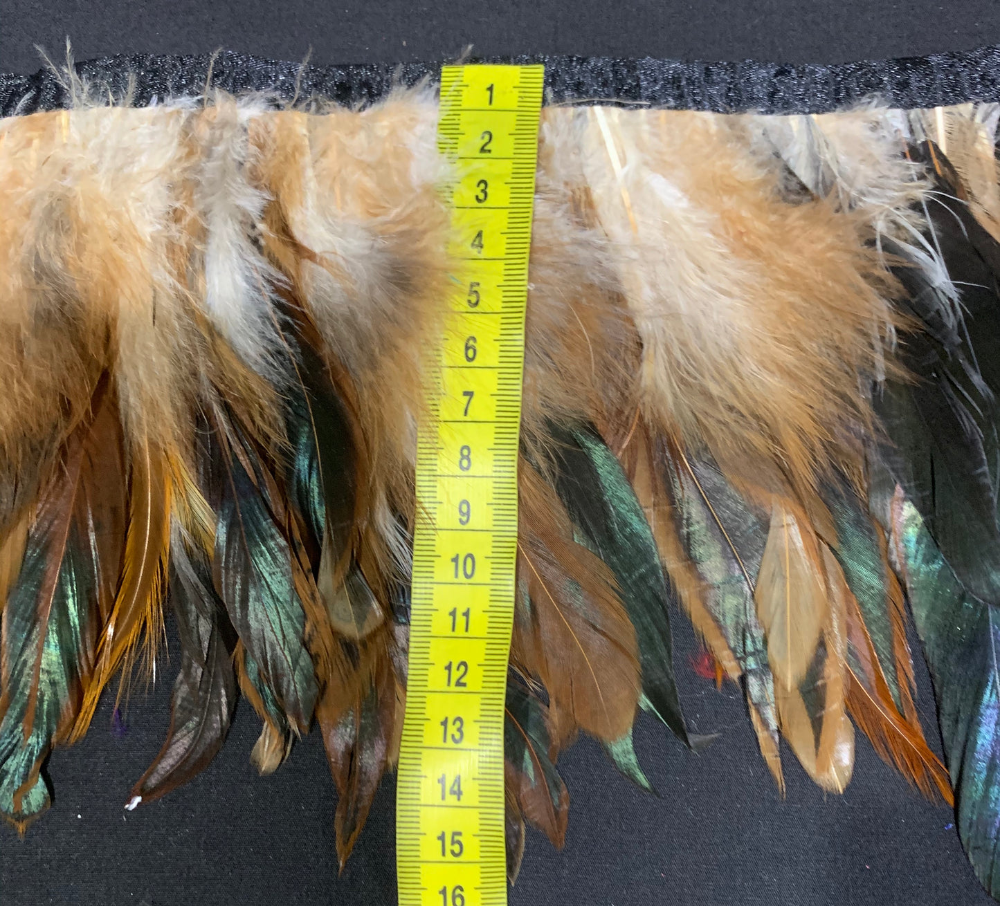 Natural Rooster Coque Feathers