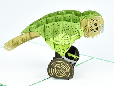 New Zealand Kakapo 3D - Pop Up Cards