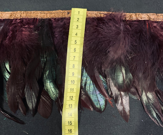 Chocolate Coque Feathers