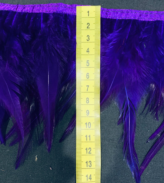 Purple Hen Feathers
