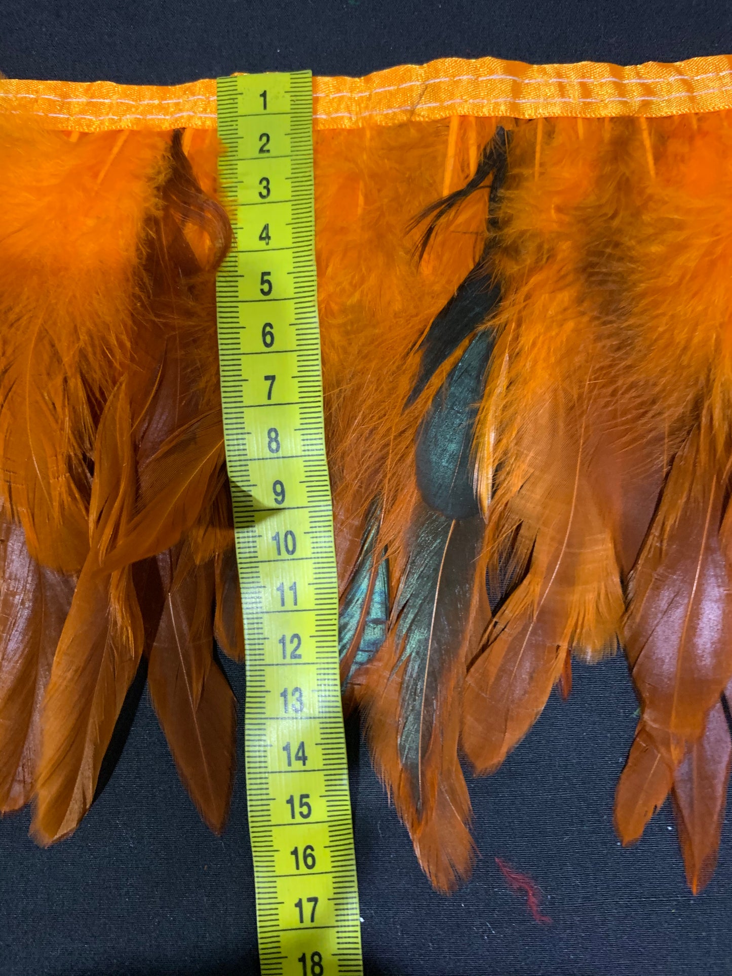 Orange Coque Feathers
