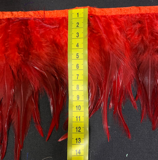 Red Hen Feathers