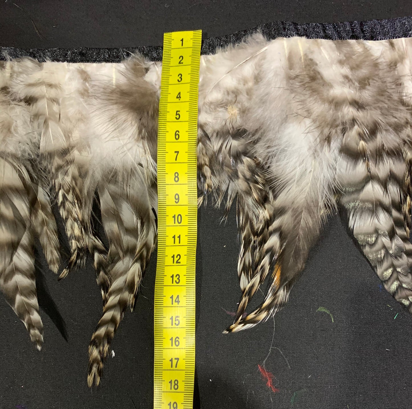 Tiger Hen Feathers