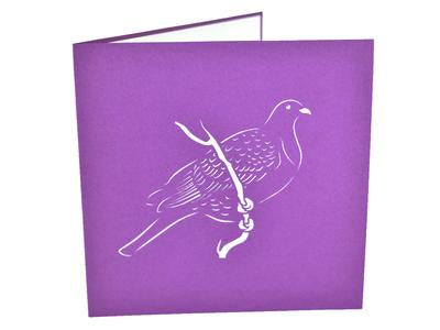 NZ Wood Pigeon 3D - Pop Up Cards