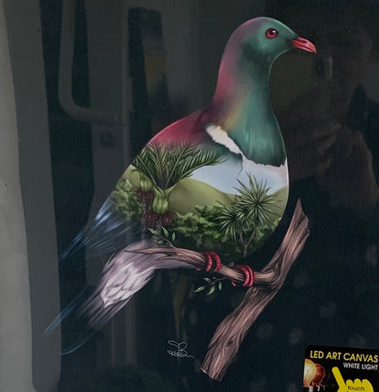 Wood Pigeon LED Light Canvas