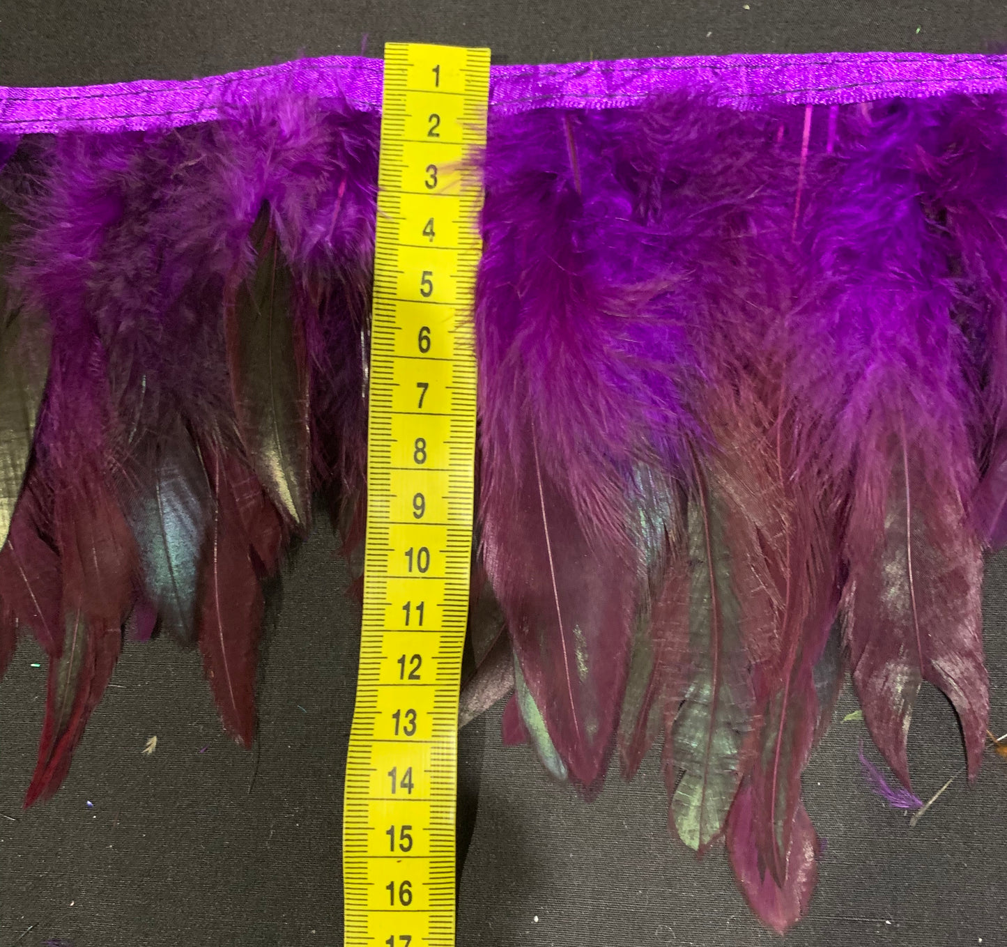 Aubergine Coque Feathers