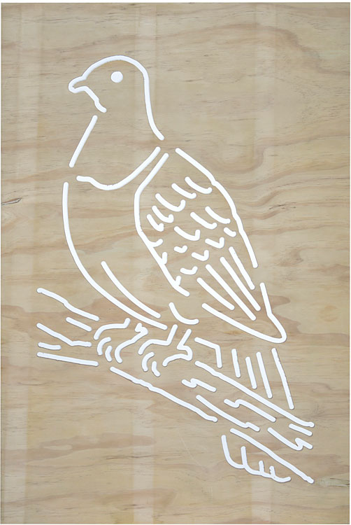 Wood Pigeon Kereru - Wood Panels