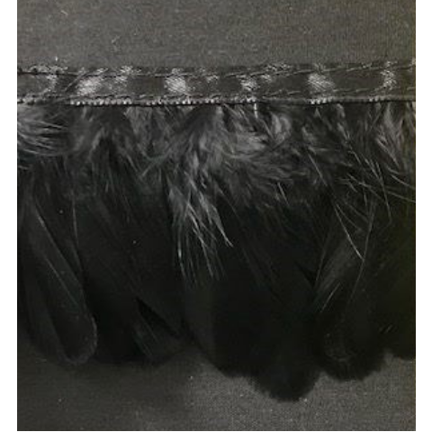 Black Goose feathers