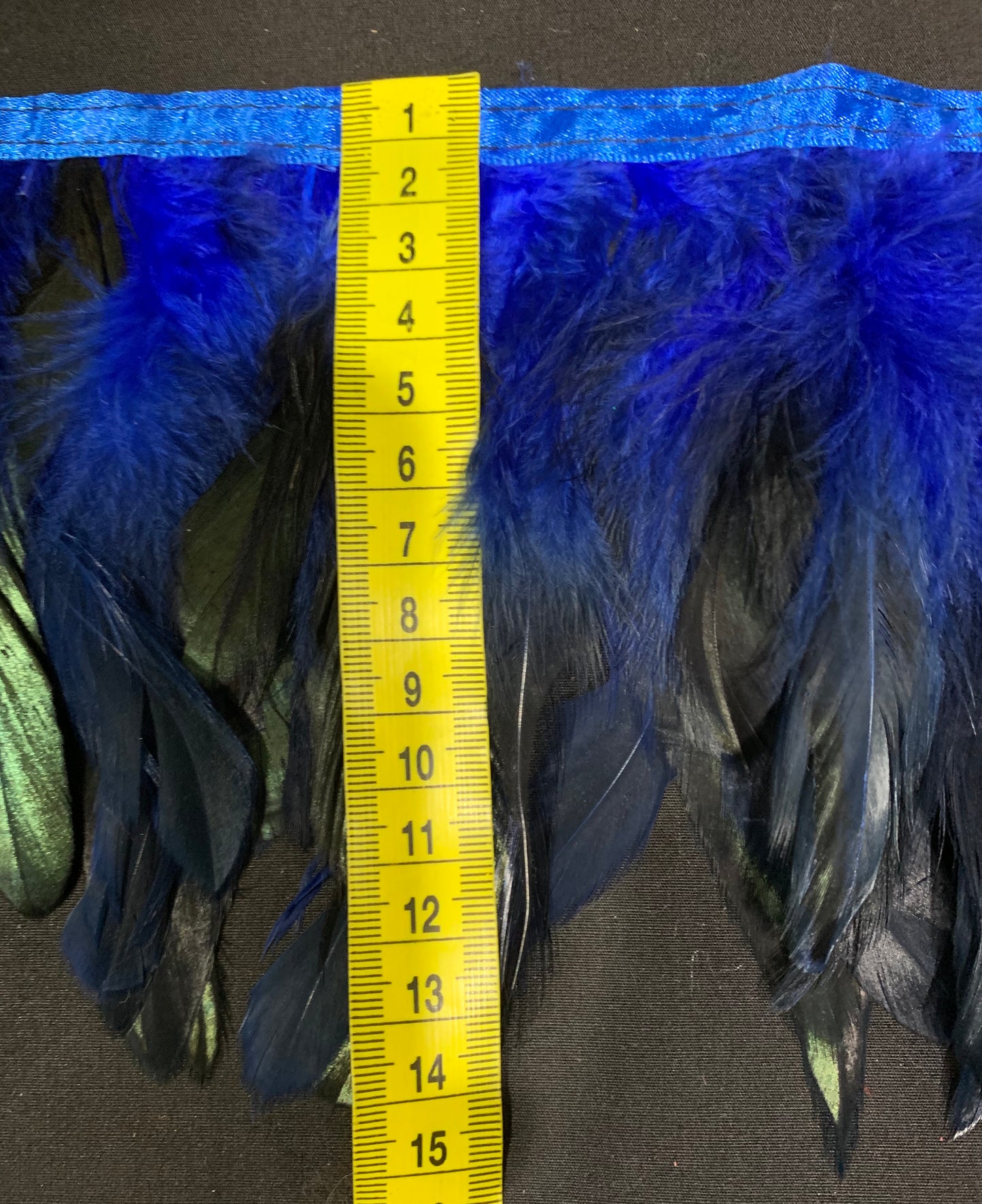 Royal Blue Coque Feathers